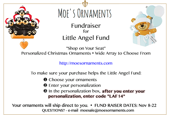 Moe's Ornaments Fundraiser