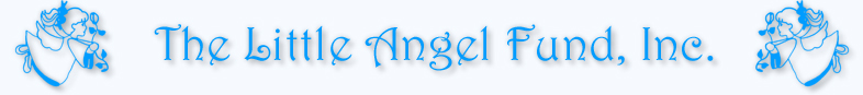 The Little Angel Fund, Inc